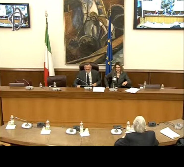 FMT in audizione Affari Sociali sul DDL professioni sanitarie